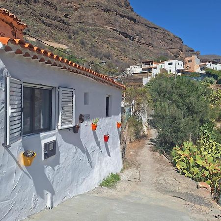 Casa Rural Los Pinares El Juncal De Tejeda Buitenkant foto