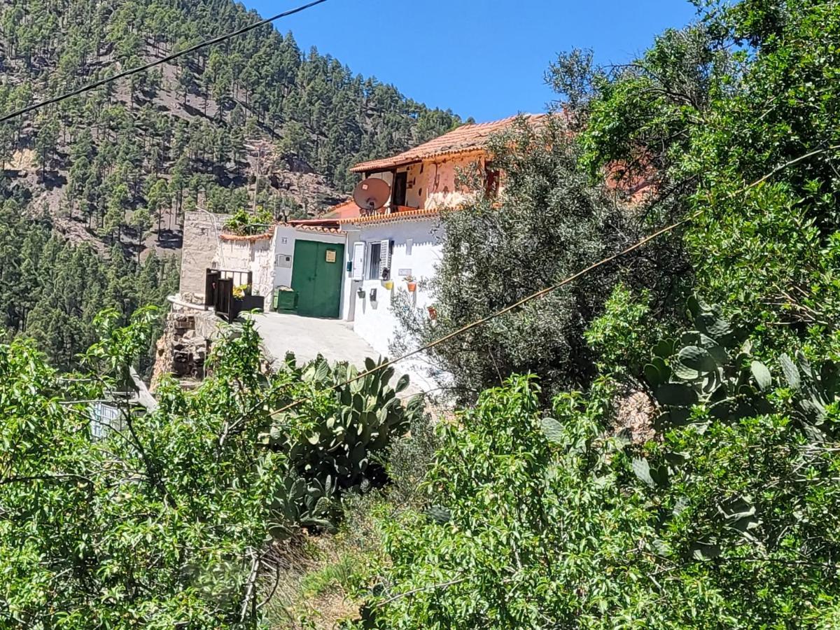Casa Rural Los Pinares El Juncal De Tejeda Buitenkant foto