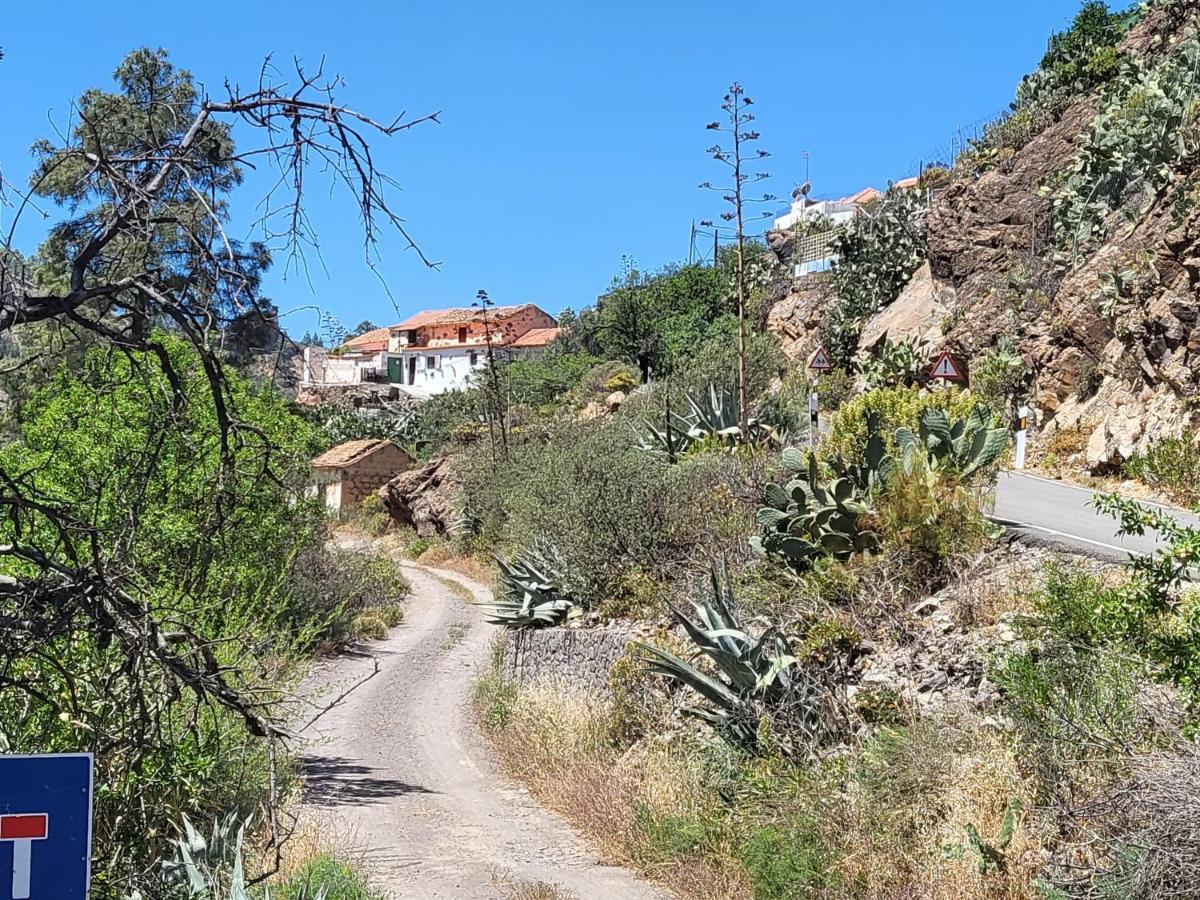 Casa Rural Los Pinares El Juncal De Tejeda Buitenkant foto