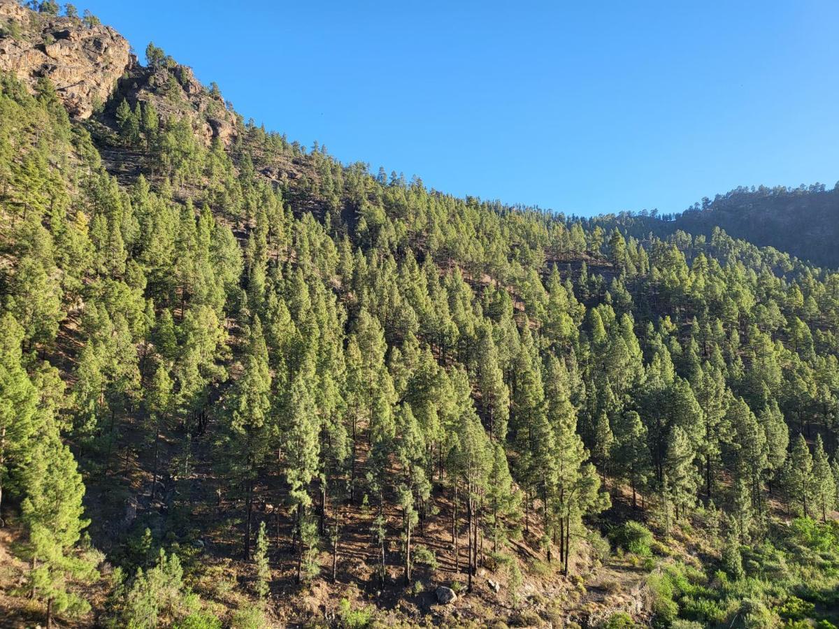Casa Rural Los Pinares El Juncal De Tejeda Buitenkant foto