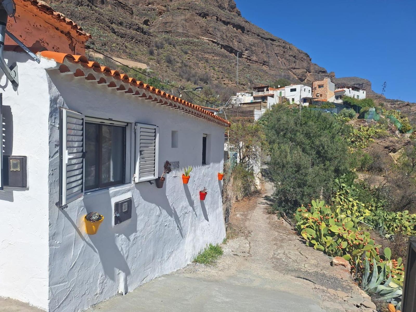 Casa Rural Los Pinares El Juncal De Tejeda Buitenkant foto